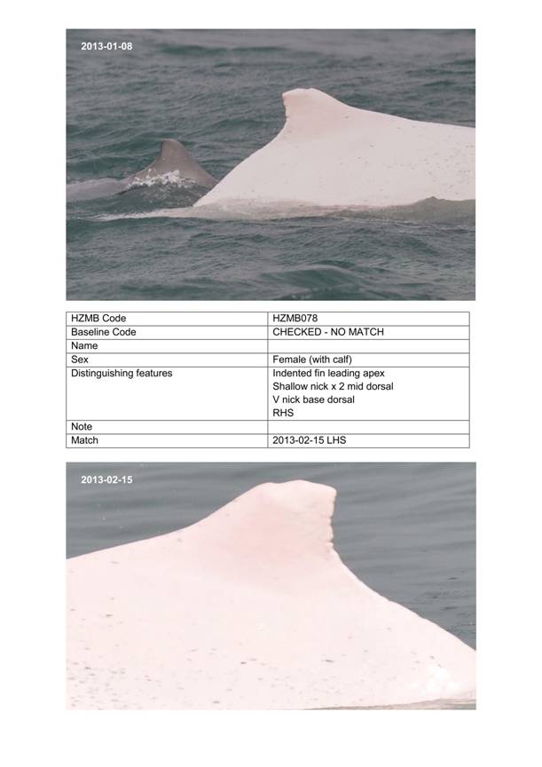 App H Dolphin Monitoring.pdf_097.jpg