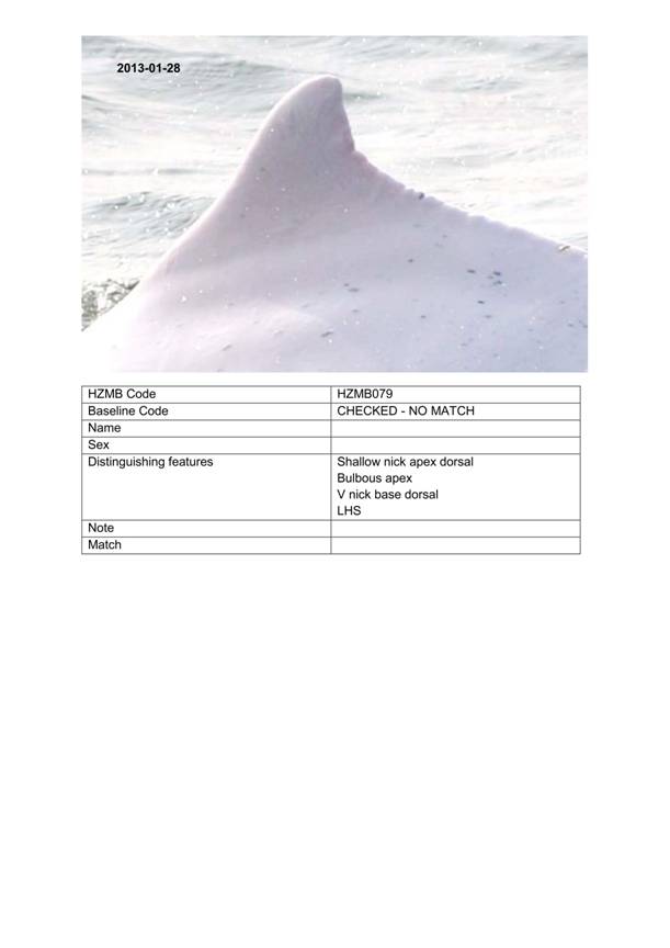 App H Dolphin Monitoring.pdf_099.jpg