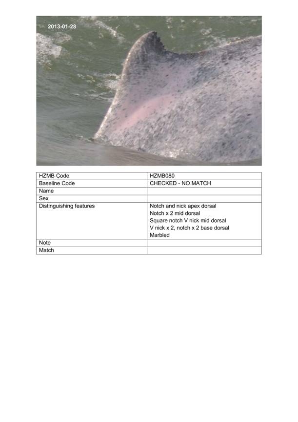 App H Dolphin Monitoring.pdf_100.jpg