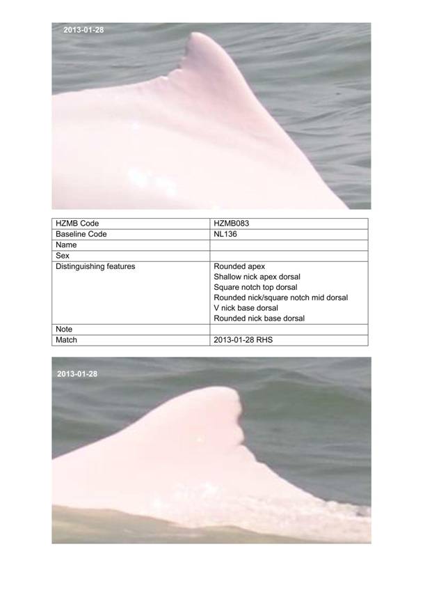App H Dolphin Monitoring.pdf_104.jpg