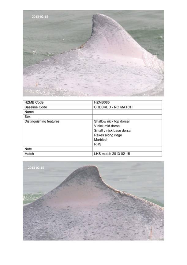 App H Dolphin Monitoring.pdf_107.jpg