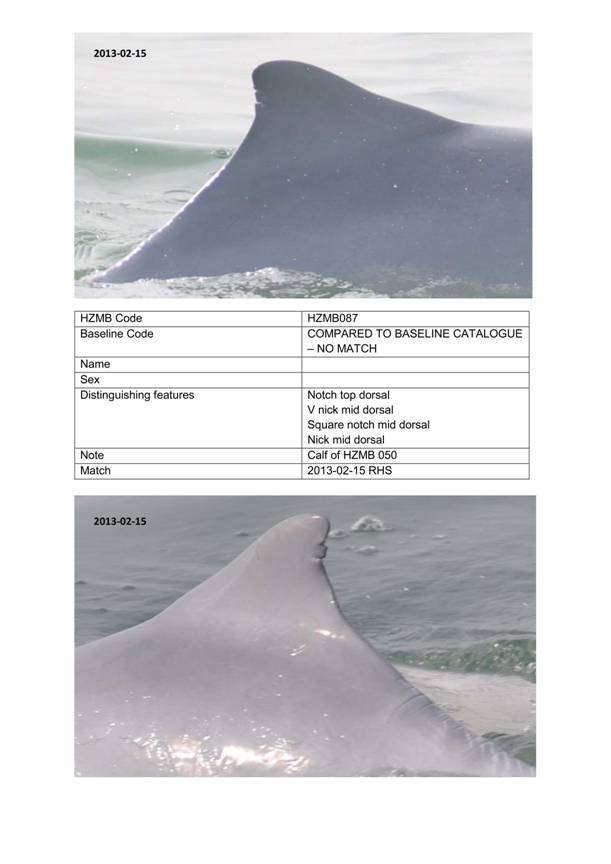 App H Dolphin Monitoring.pdf_109.jpg