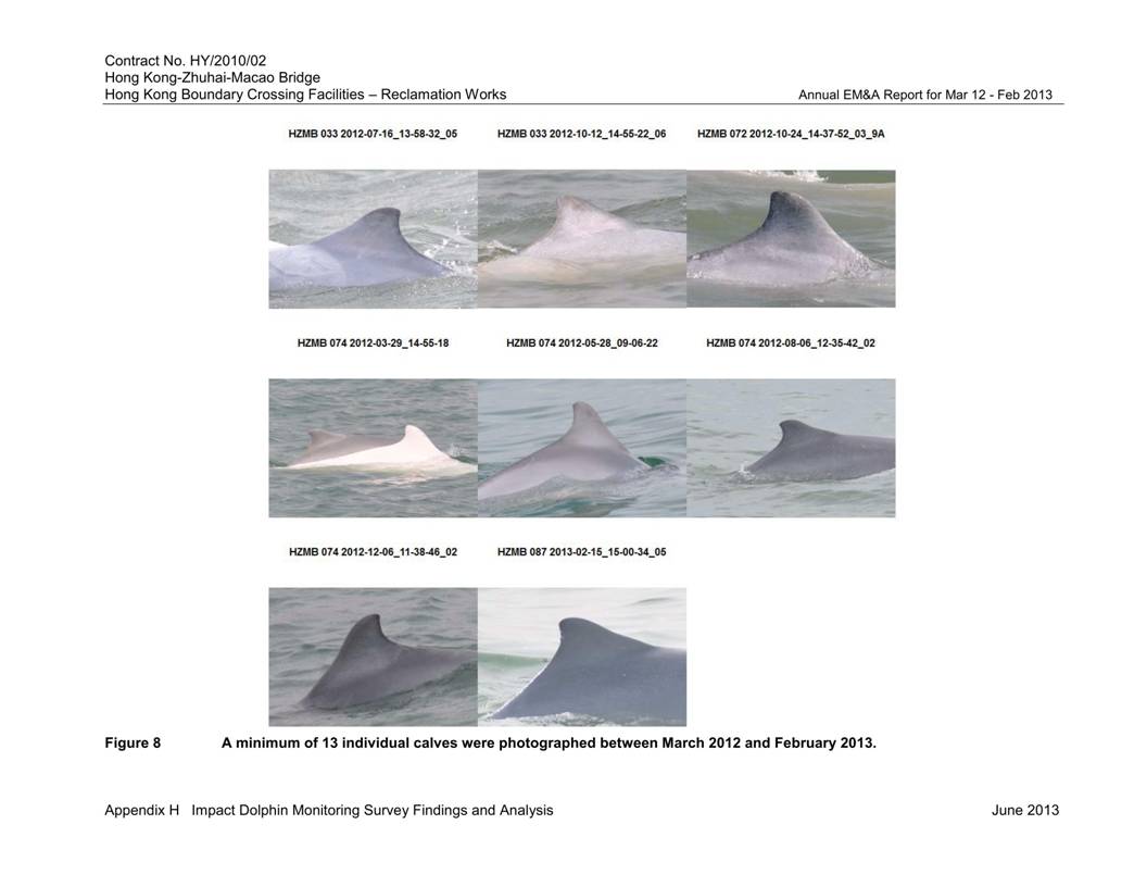 App H Impact Dolphin Monitoring Survey Findings  Analysis v3_09.jpg